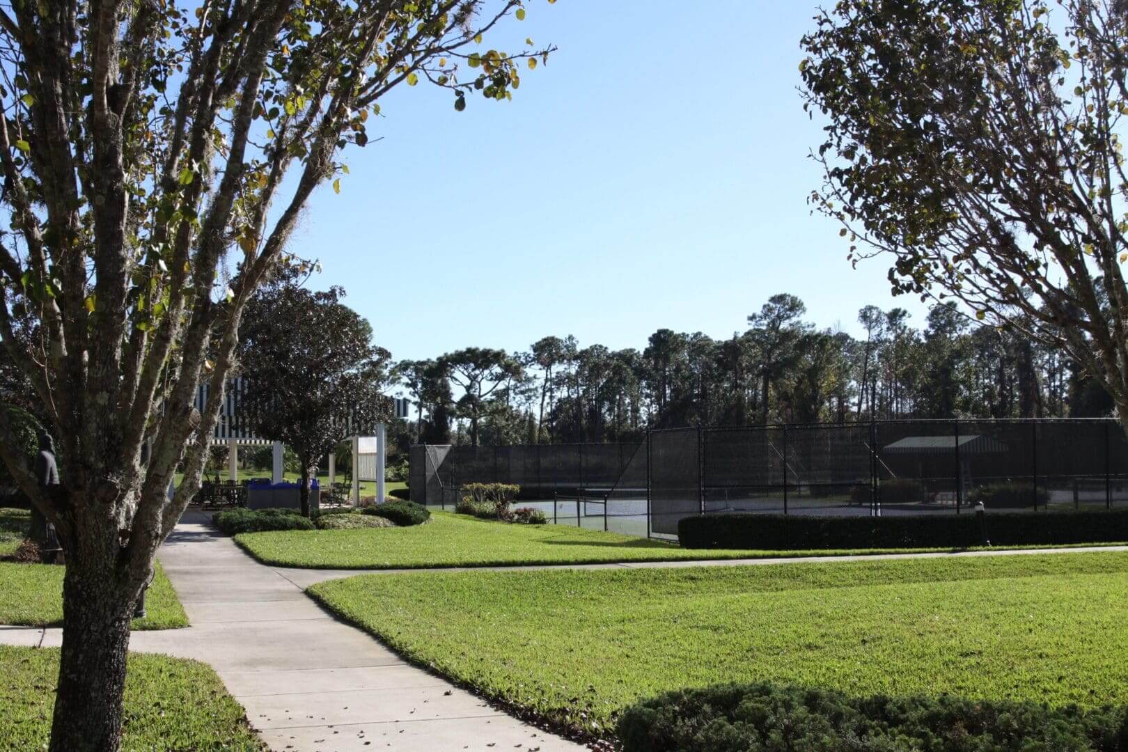 A peaceful suburban neighborhood with a pond and green lawns.